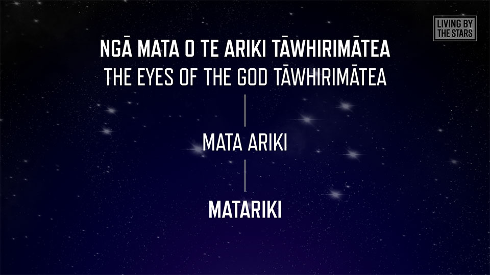 Te Kāhui O Matariki–The Constellation Of Matariki | LEARNZ